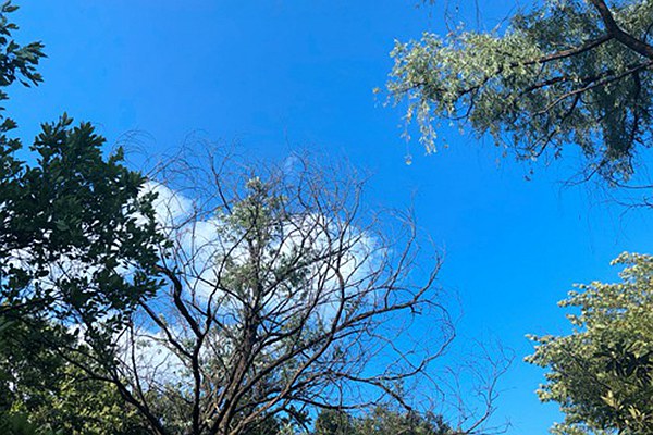 关于发布《机织化纤面料智能验布机》等四项中纺机团体标准的通知