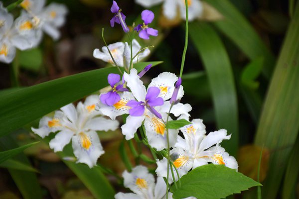 陈大鹏：在市场浪潮中锻造中国服装产业的“春天”