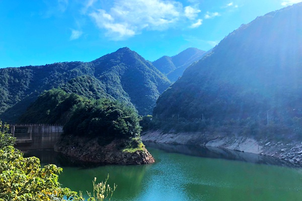 缝制机械行业步入“全要素出海”新阶段